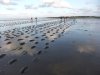 wadlopen-10.jpg