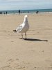 IMG_20180814_121516.jpg