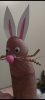 Screenshot_20210726-184055.jpg