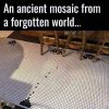 FB_IMG_1686334229159.jpg