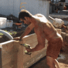 upload_2023-6-10_9-44-31.gif