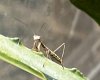 IMG_3822.jpeg