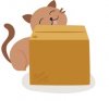 cute-cat-character-different-poses-260nw-1660199515.jpg