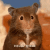 hello-hi.gif