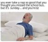 FB_IMG_1691612370869.jpg
