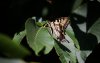 IMG_1819.jpeg