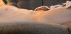 couchv2.png
