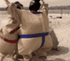 IMG_6598.gif
