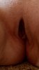 IMG_1350.jpeg