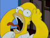 giphy (2).gif