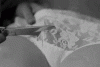 IMG_0906.gif