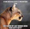 FB_IMG_1709278198094.jpg