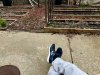 IMG_8560.jpeg