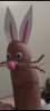Screenshot_20210726-184055.jpg
