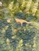 IMG_1615.jpeg