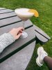 IMG_2492.jpeg