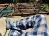 IMG_8918.jpeg