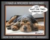 A 1 A A DOG COON HOUND ASLEEP 1A.jpg