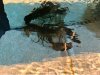 IMG_9417.jpeg