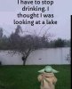 FB_IMG_1716898564038.jpg