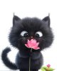 FB_IMG_1717259514575.jpg