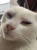 IMG_4681.jpeg