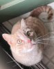 IMG_0209.jpeg