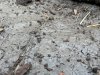 IMG_1423.jpeg