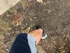 IMG_1435.jpeg