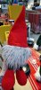 20241117_095851.jpg