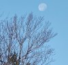 IMG_20241118_083036692~2.jpg