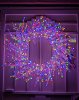 Picsart_24-11-24_16-26-36-811.jpg