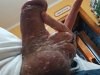 20241127_072826.jpg