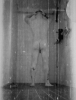 GIF_20241202_060910_108.gif