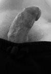 IMG_7820.jpeg