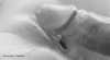 3131408.gif