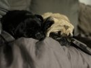 IMG_4886.jpeg