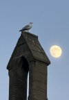 IMG_7776.jpeg