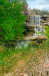IMG_9215.jpeg