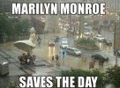 save.jpeg