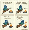 FB_IMG_1741664937966.jpg