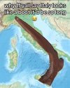 1000313347.jpg