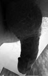 IMG_8714.jpeg