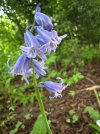 IMG_9137.jpeg