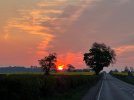 IMG_9216.jpeg