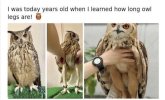 IMG_2644.jpeg