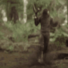1000067373.gif