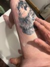 IMG_9465.jpeg