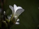 IMG_9099.jpg