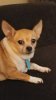 20180606_004859.jpg